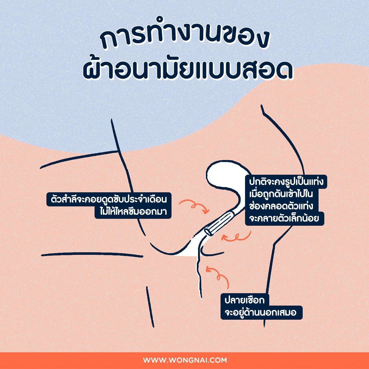 ผู้หญิงว่ายน้ำได้,เรียนว่ายน้ำ,สถาบันสอนว่ายน้ํา,โรงเรียนสอนว่ายน้ำ,swimming,ว่ายน้ำ,ครูสอนว่ายน้ำ,ทางเลือกว่ายน้ำ,หาคอร์สเรียนว่ายน้ำ