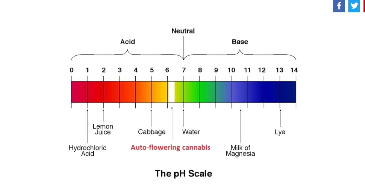 ค่า PH ในสระว่ายน้ำ,เรียนว่ายน้ำ,สอนว่ายน้ำ,สถาบันสอนว่ายน้ำ,หาครูสอนว่ายน้ำ,เรียนว่ายน้ำเป็นเร็ว,ครูสอนว่ายน้ำ,โรงเรียนสอนว่ายน้ำ,เรียนว่ายน้ำผู้ใหญ่,เรียนว่ายน้ำเด็ก,เรียนพื้นฐานดำน้ำ